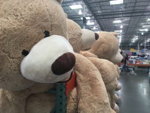 Gigantic bears at Costco